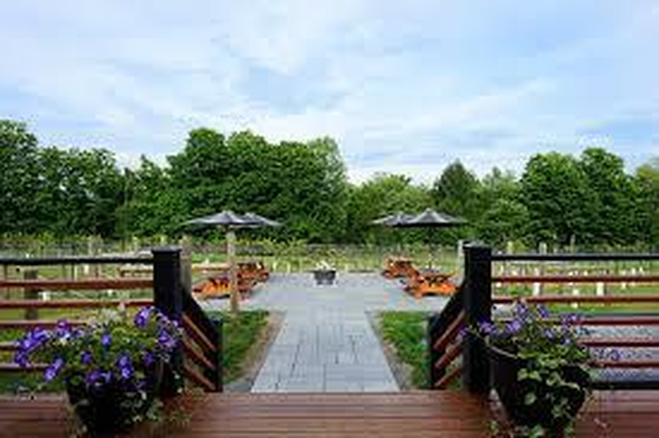 🍷 Windham Vineyard & Winery