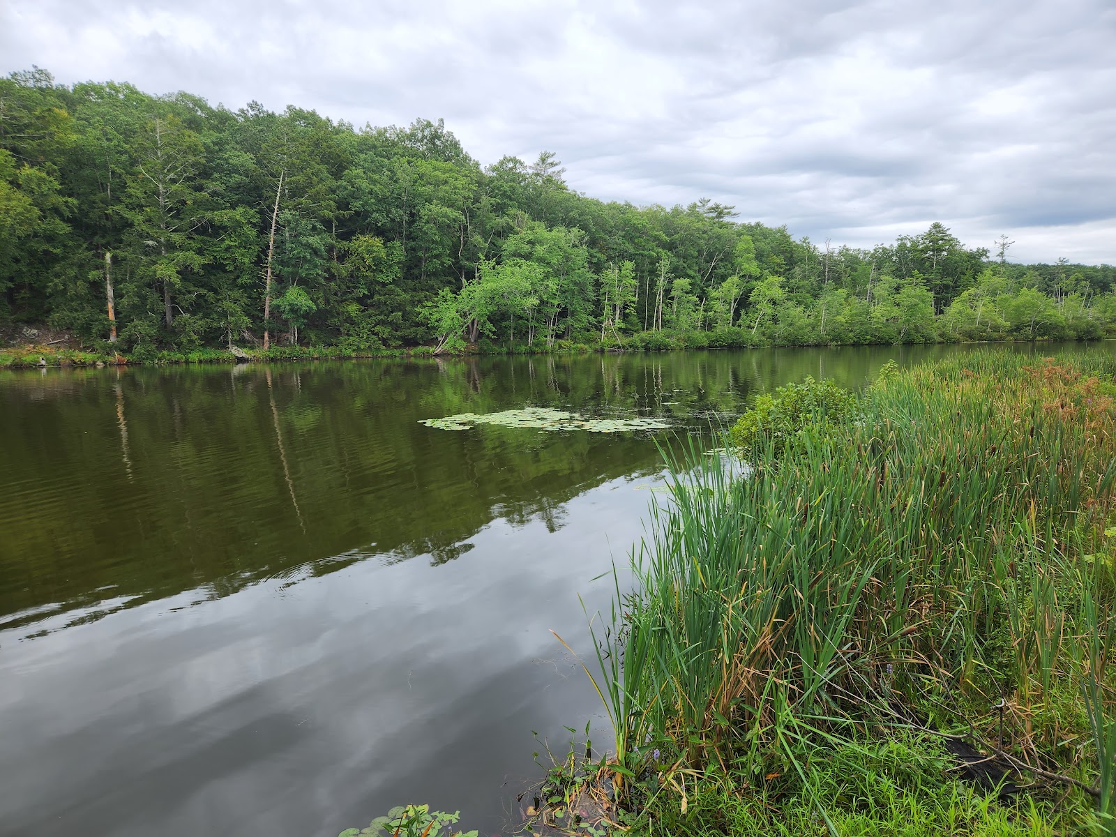 Onteora Lake