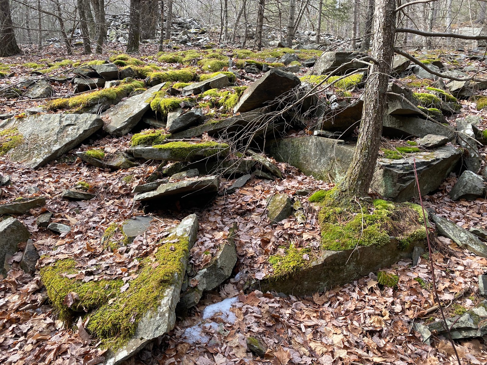 Sloan Gorge Preserve | Woodstock Land Conservancy