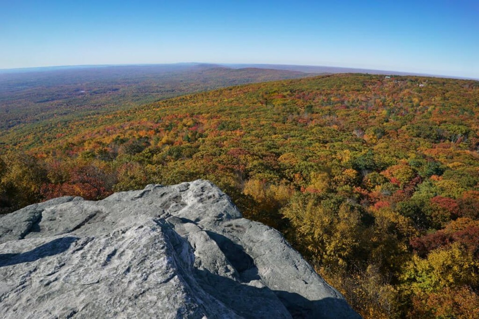 Overview of the Area